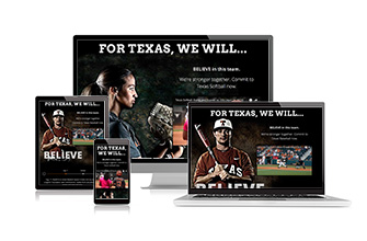 2016 Softball and Baseball Season Tickets site on various screen sizes